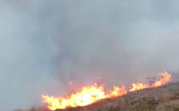 MPRJ cobra respostas sobre incêndios florestais em municípios do Norte Fluminense