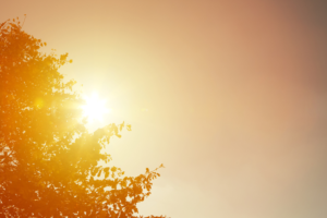Estudo prevê até 13,3 mil mortes no Brasil com calor do Super El Niño