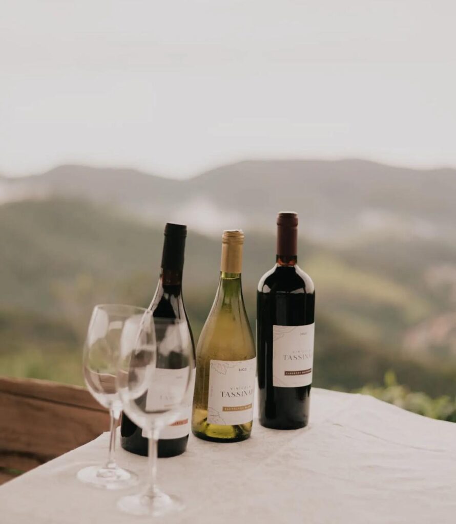 Itaipava recebe Wine & Jazz Festival em junho, com experiências gastronômicas, vinhos e shows ao vivo