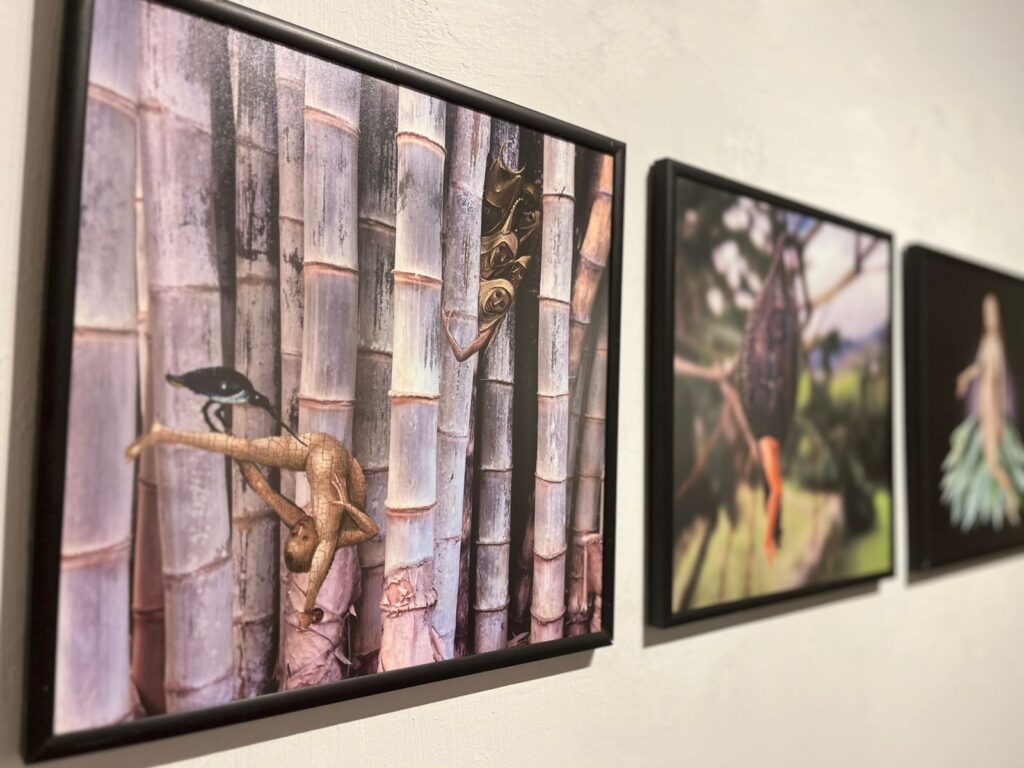 Exposição “Jardim das Delícias” entra em reta final na Casa de Petrópolis