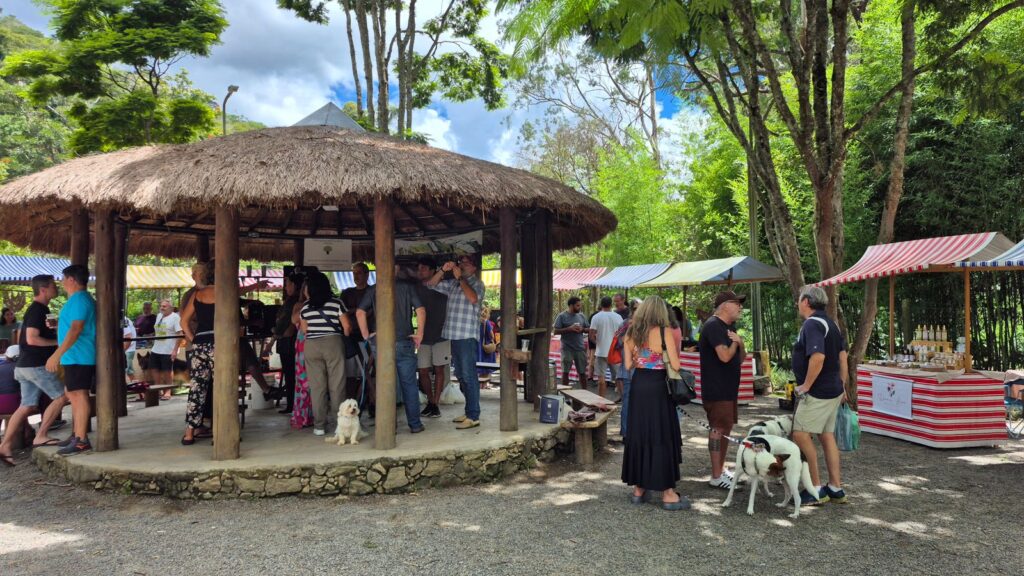 Feira Cores e Sabores promove edição especial do Mês da Mulher no Vale das Videiras