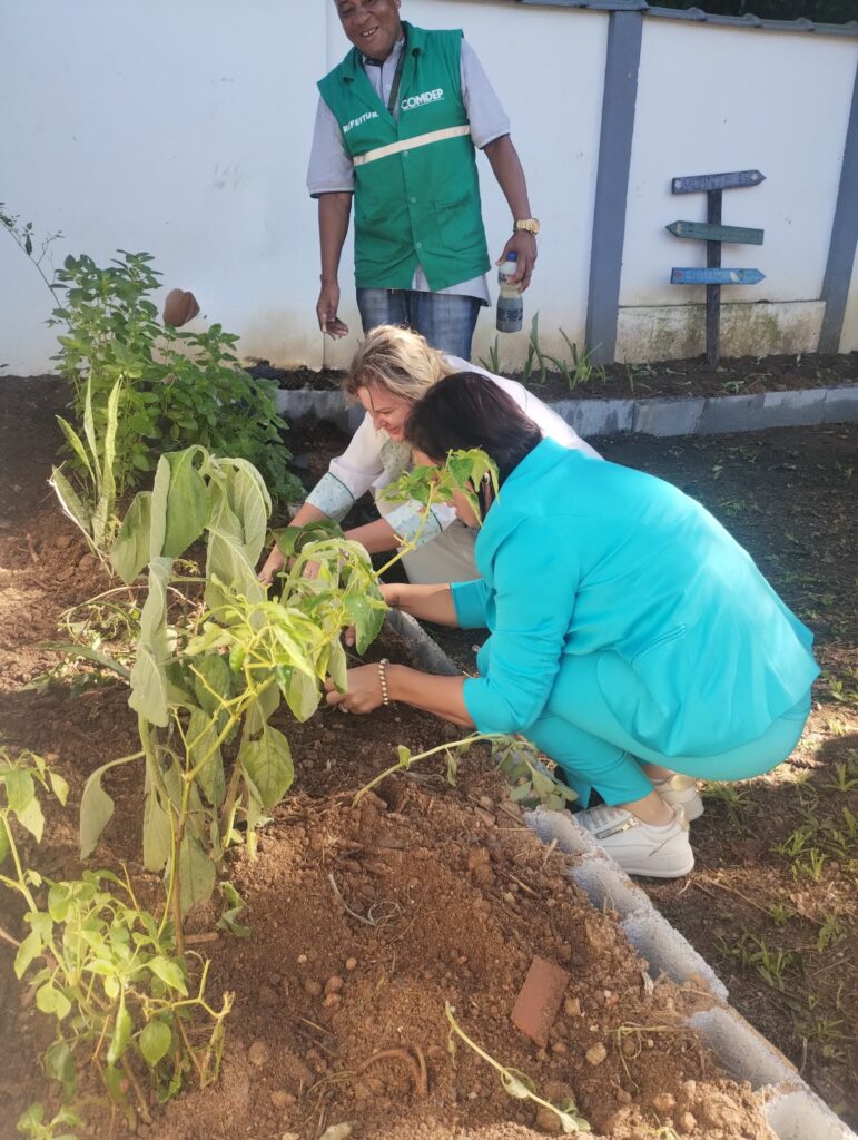 Projeto ‘Hortas que Curam’ leva plantas medicinais e hortaliças às unidades de saúde de Petrópolis