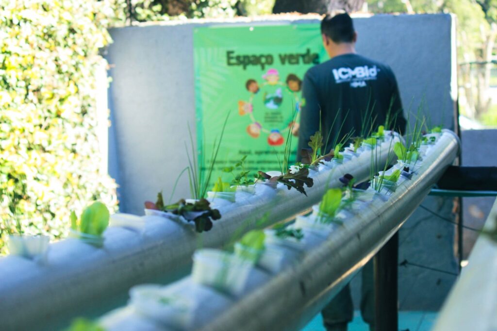 Alunos da rede municipal recebem ações de educação ambiental e ganham PEV do Conexão Verde