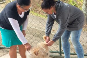 Prefeitura vacina mais de cinco mil animais na 2ª etapa de vacinação antirrábica